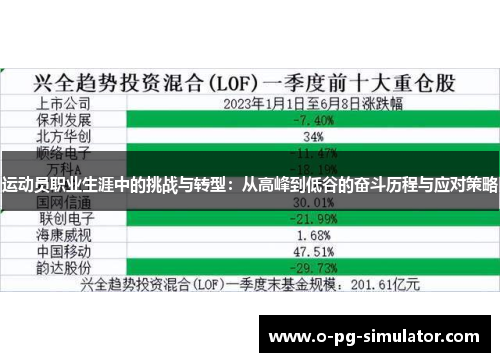 运动员职业生涯中的挑战与转型：从高峰到低谷的奋斗历程与应对策略